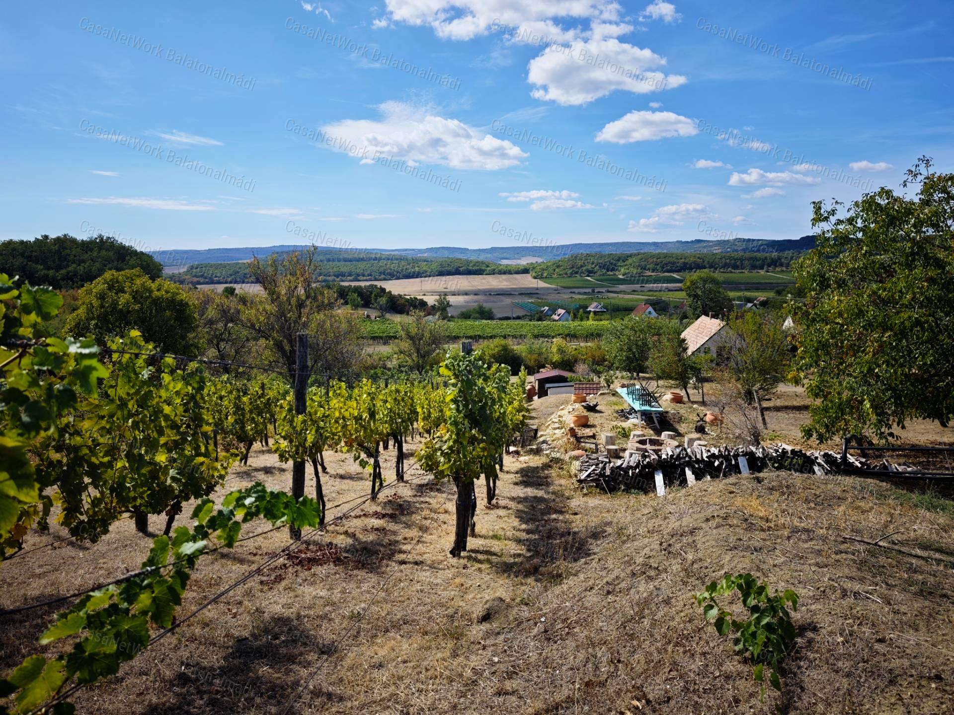 Mediterrán hangulatú tájpanorámás zártkert fele eladó Balatonszőlősön