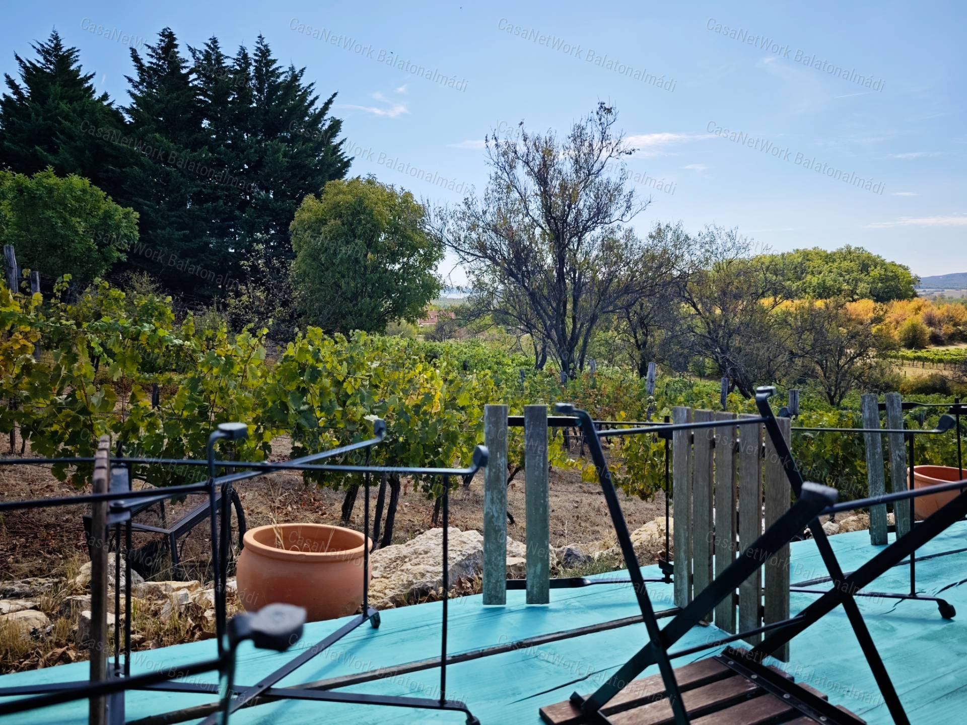 Mediterrán hangulatú tájpanorámás zártkert fele eladó Balatonszőlősön