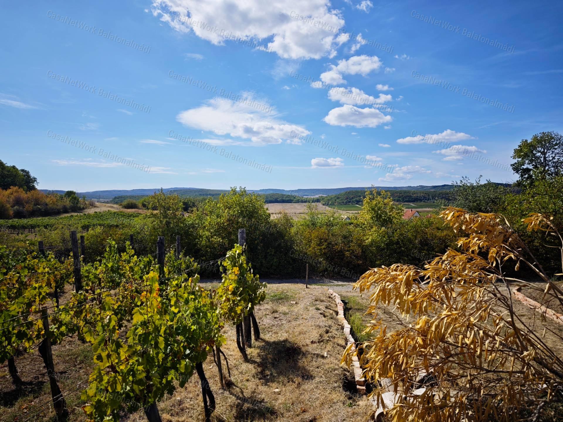 Mediterrán hangulatú tájpanorámás zártkert fele eladó Balatonszőlősön