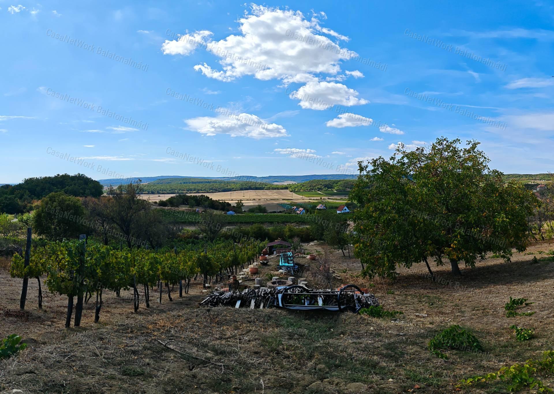 Mediterrán hangulatú tájpanorámás zártkert fele eladó Balatonszőlősön