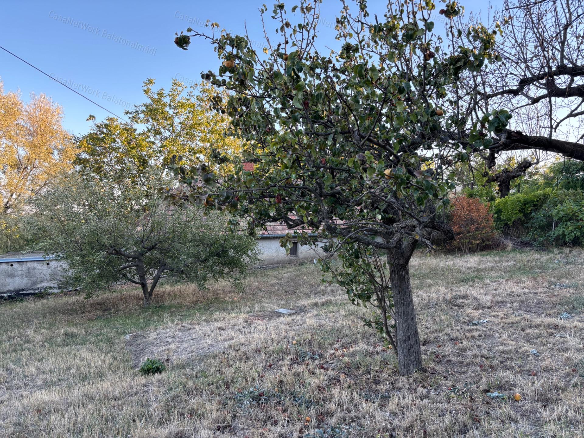 Eladó családi ház balatoni panorámával Balatonalmádiban!