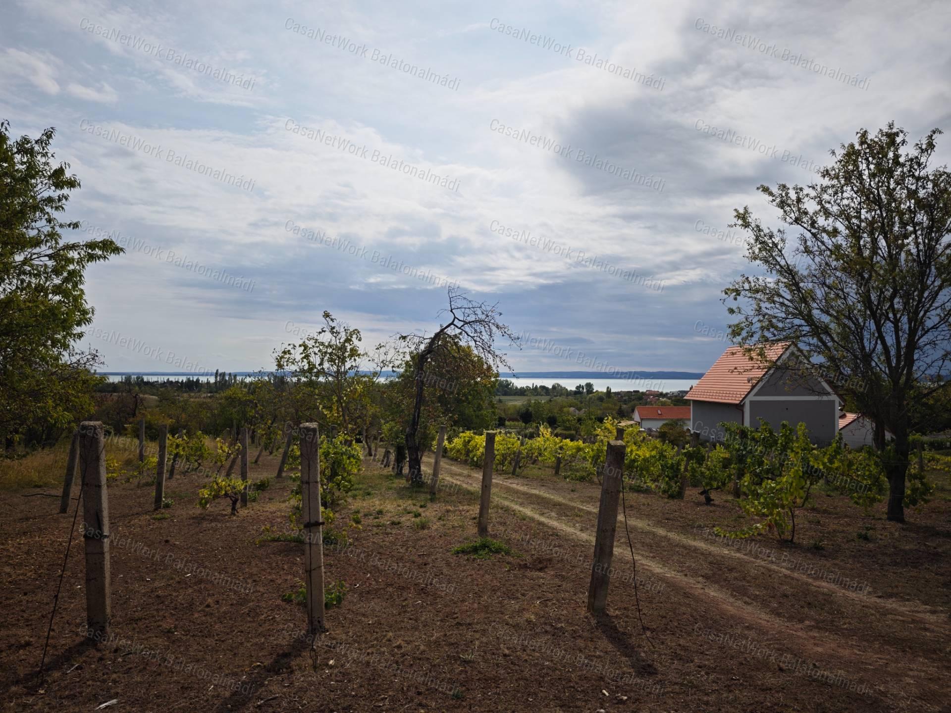 Építhető balatoni panorámás birtok eladó Lovason