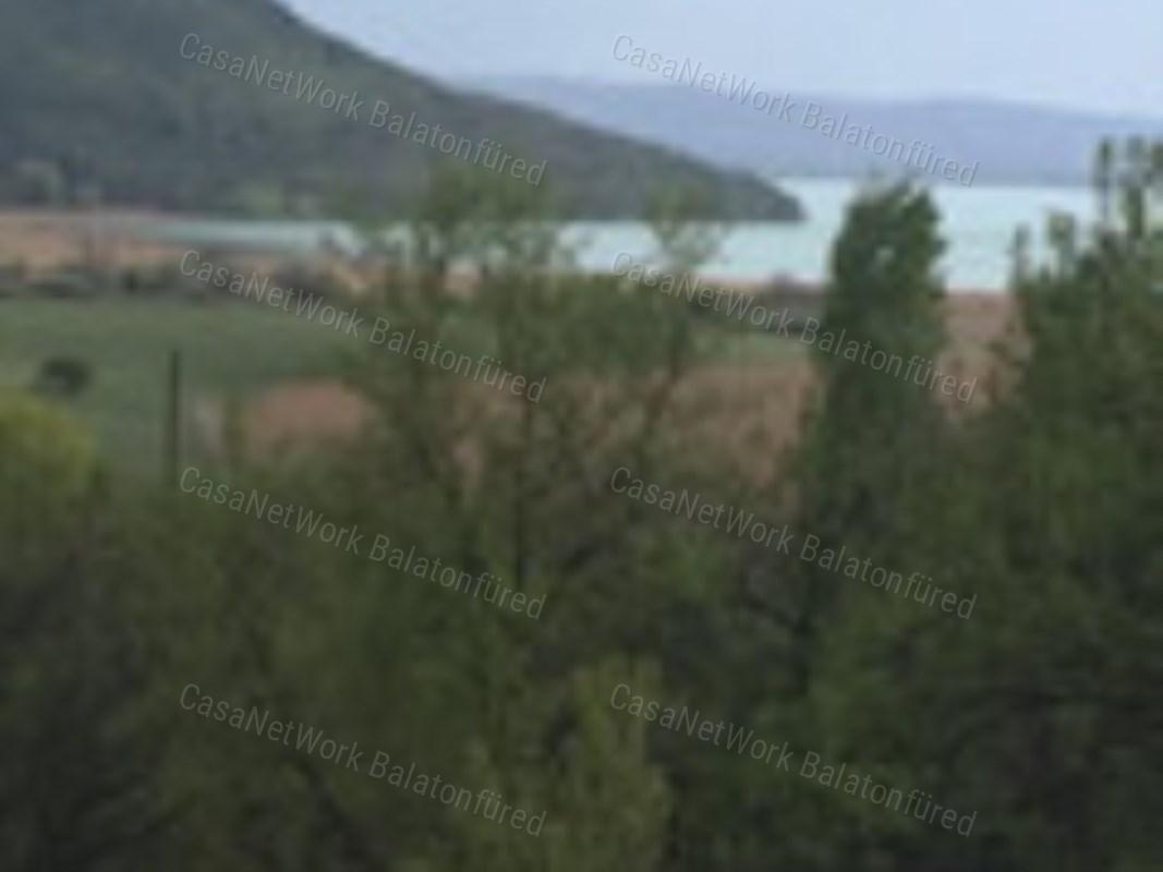 Kékfrankos Szőlő terület