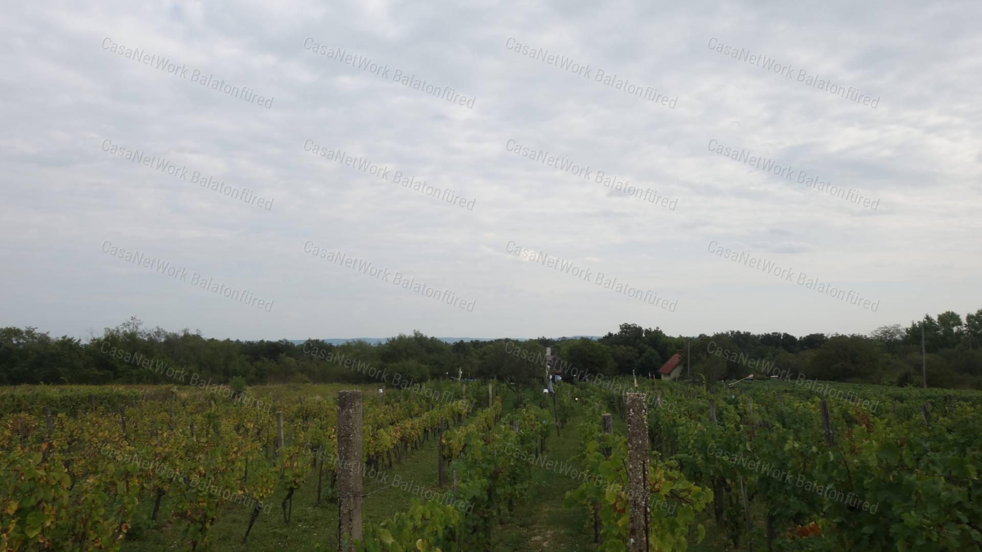 Klasszikus stílus kedvelőinek
