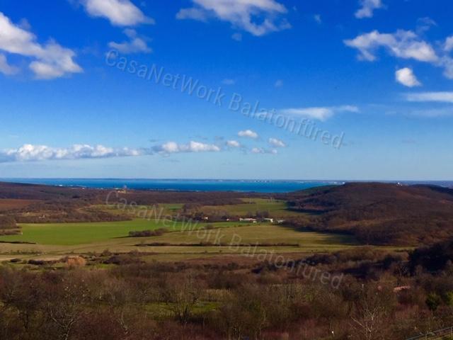 Minőségi panorámás szőlő birtok