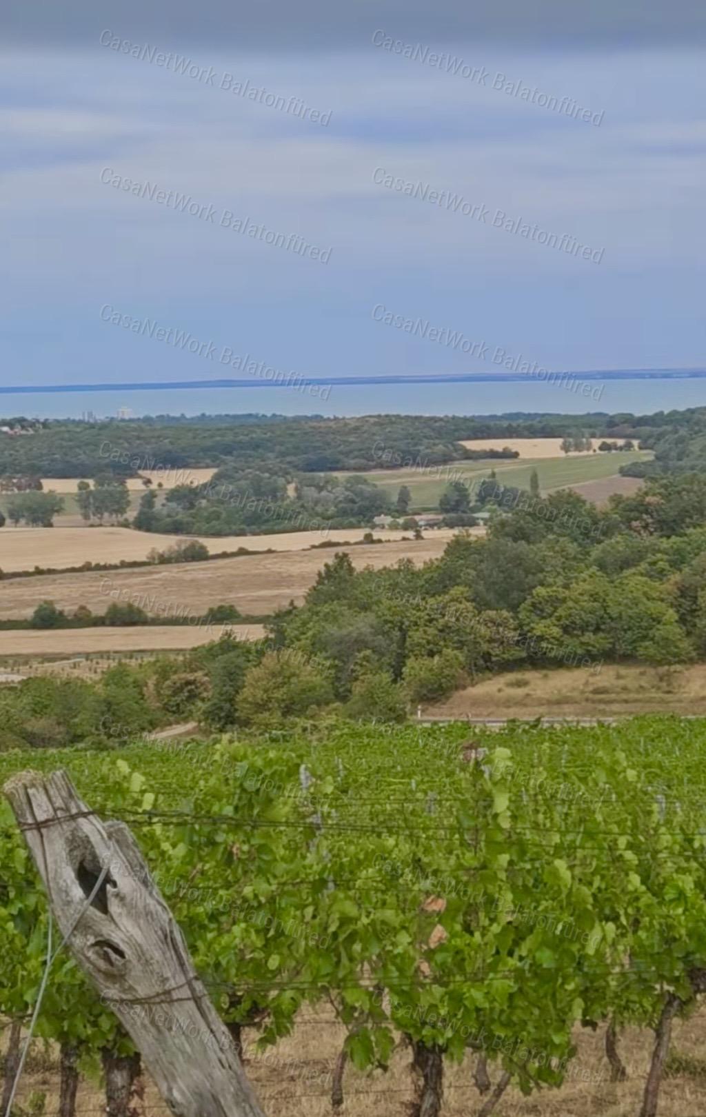 Minőségi panorámás szőlő birtok