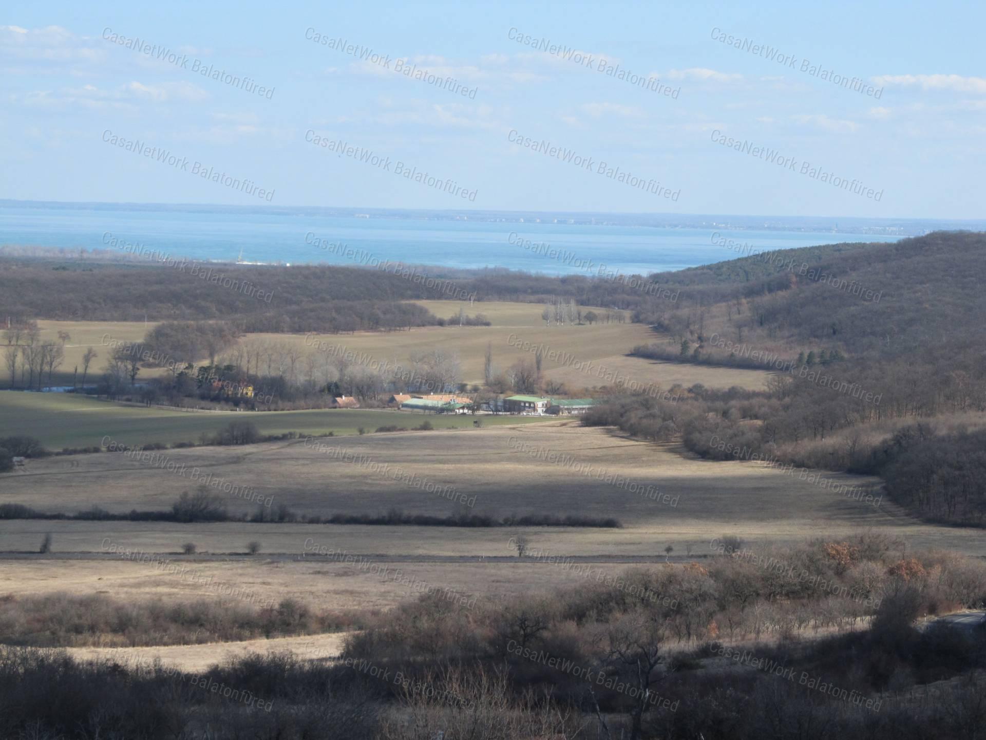 Minőségi panorámás szőlő birtok