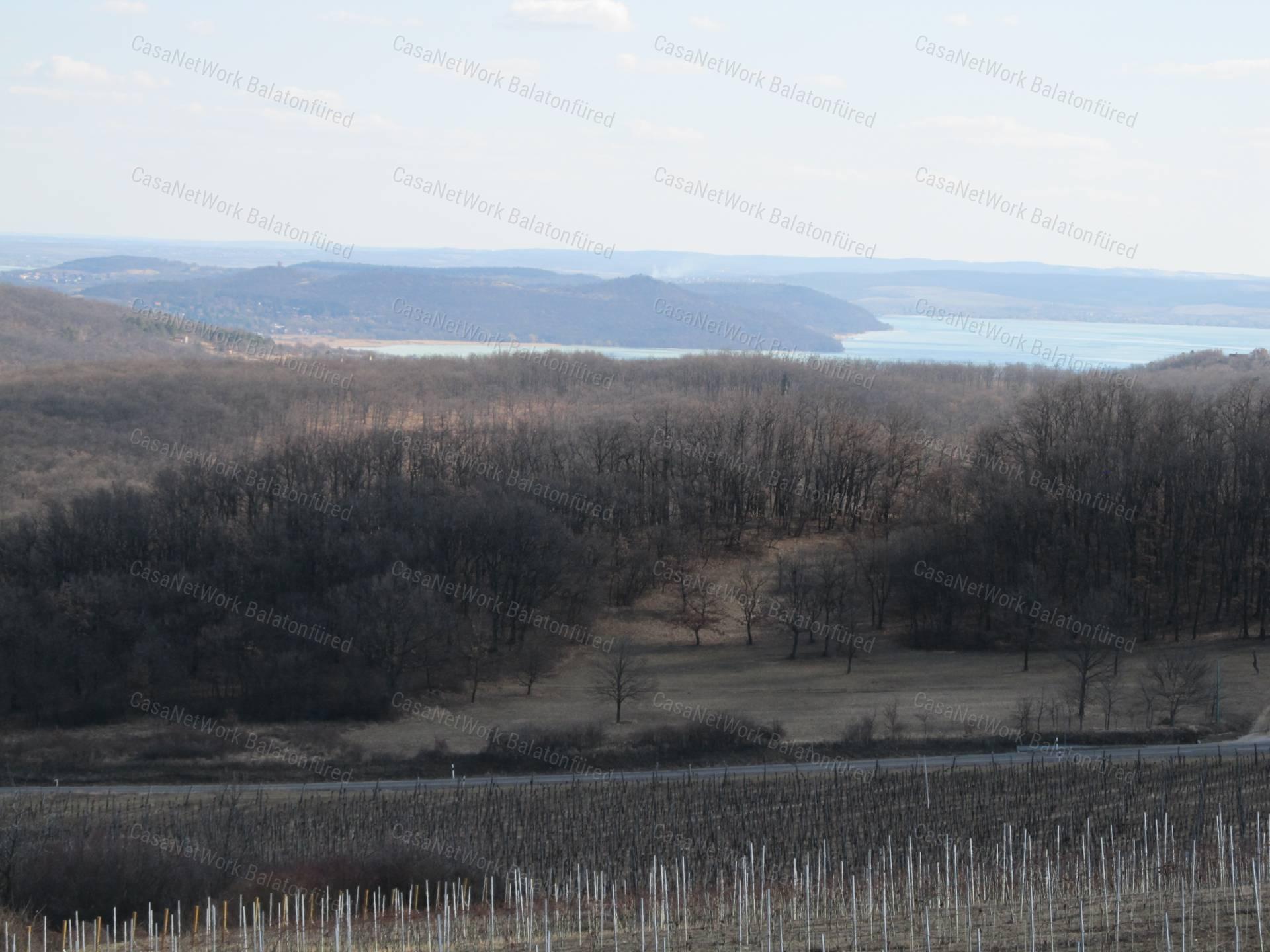 Minőségi panorámás szőlő birtok