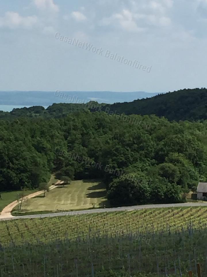 Minőségi panorámás szőlő birtok