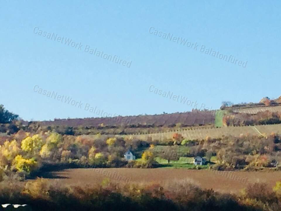 Minőségi panorámás szőlő birtok