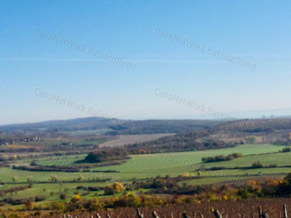 Minőségi panorámás szőlő birtok