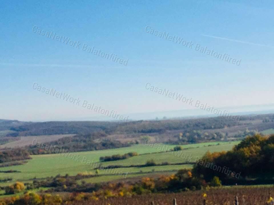 Minőségi panorámás szőlő birtok