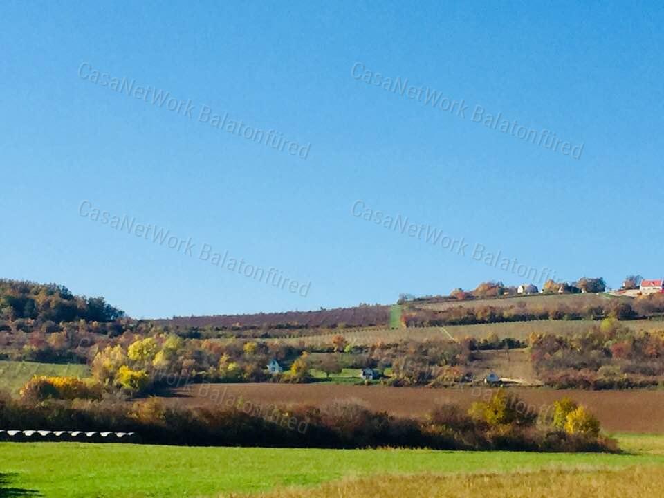 Minőségi panorámás szőlő birtok