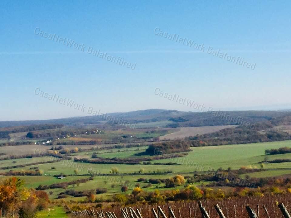 Minőségi panorámás szőlő birtok
