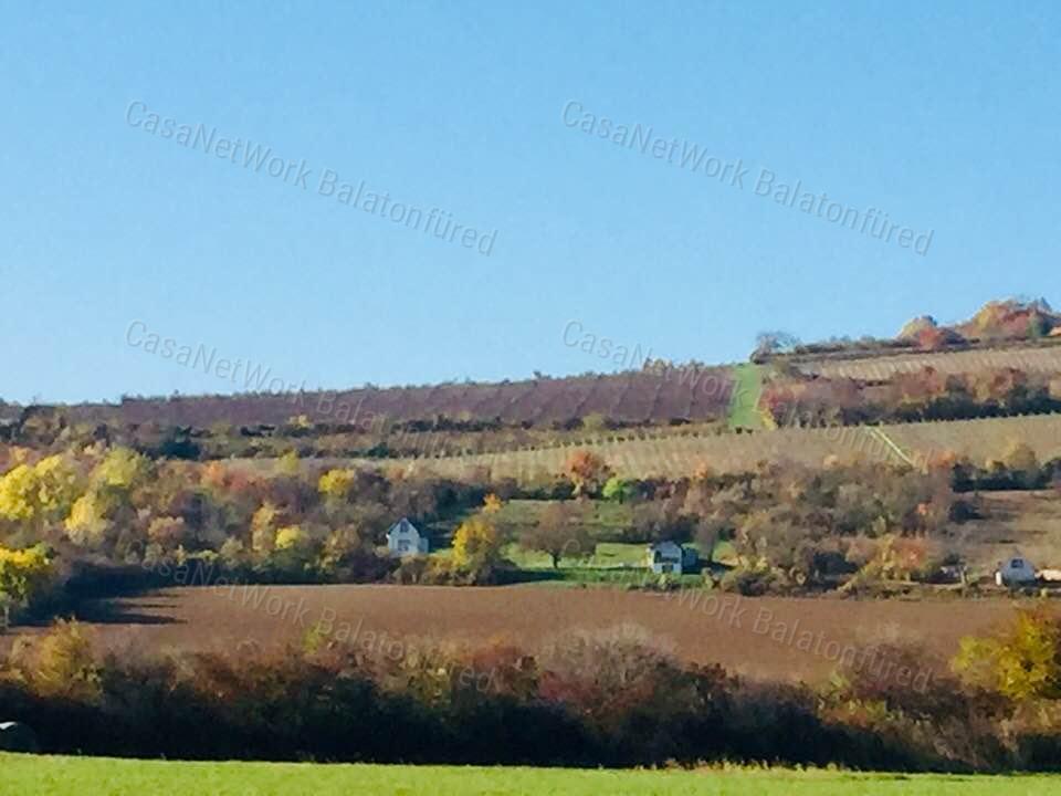 Minőségi panorámás szőlő birtok