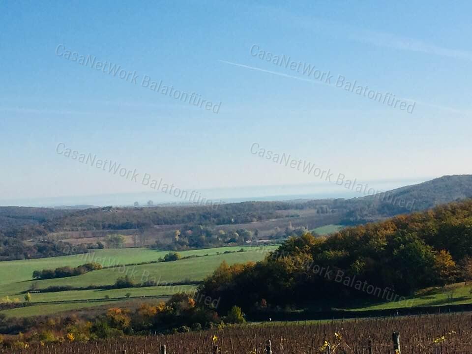 Minőségi panorámás szőlő birtok