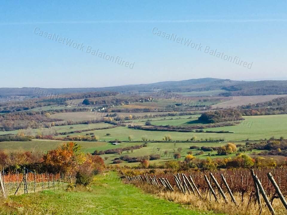 Minőségi panorámás szőlő birtok