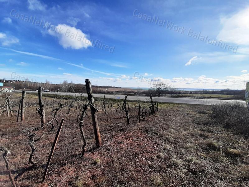 PANORÁMÁS SZŐLŐ terület eladó CSOPAKON