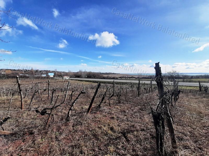 PANORÁMÁS SZŐLŐ terület eladó CSOPAKON