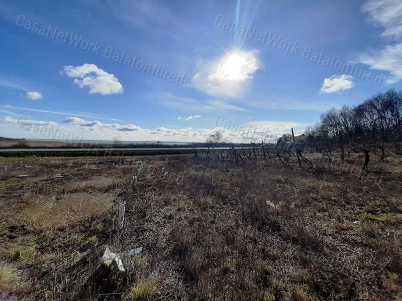PANORÁMÁS SZŐLŐ terület eladó CSOPAKON
