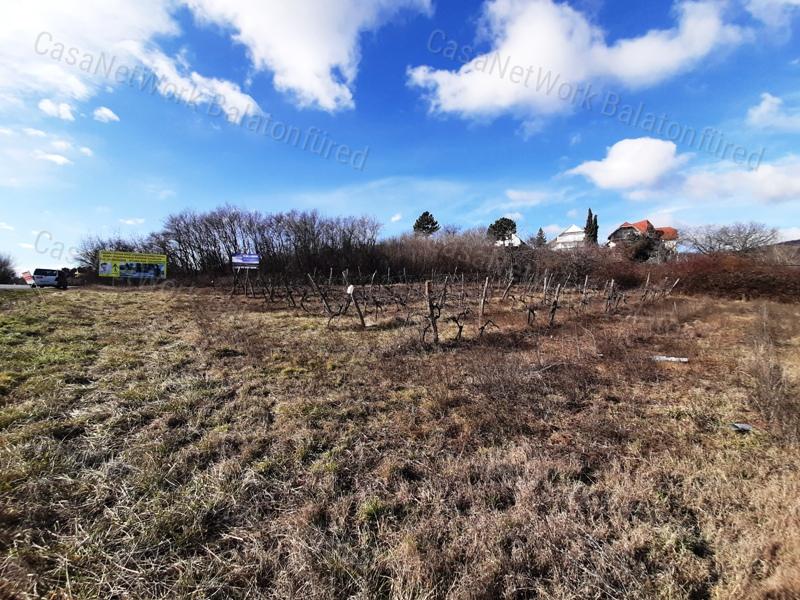 PANORÁMÁS SZŐLŐ terület eladó CSOPAKON