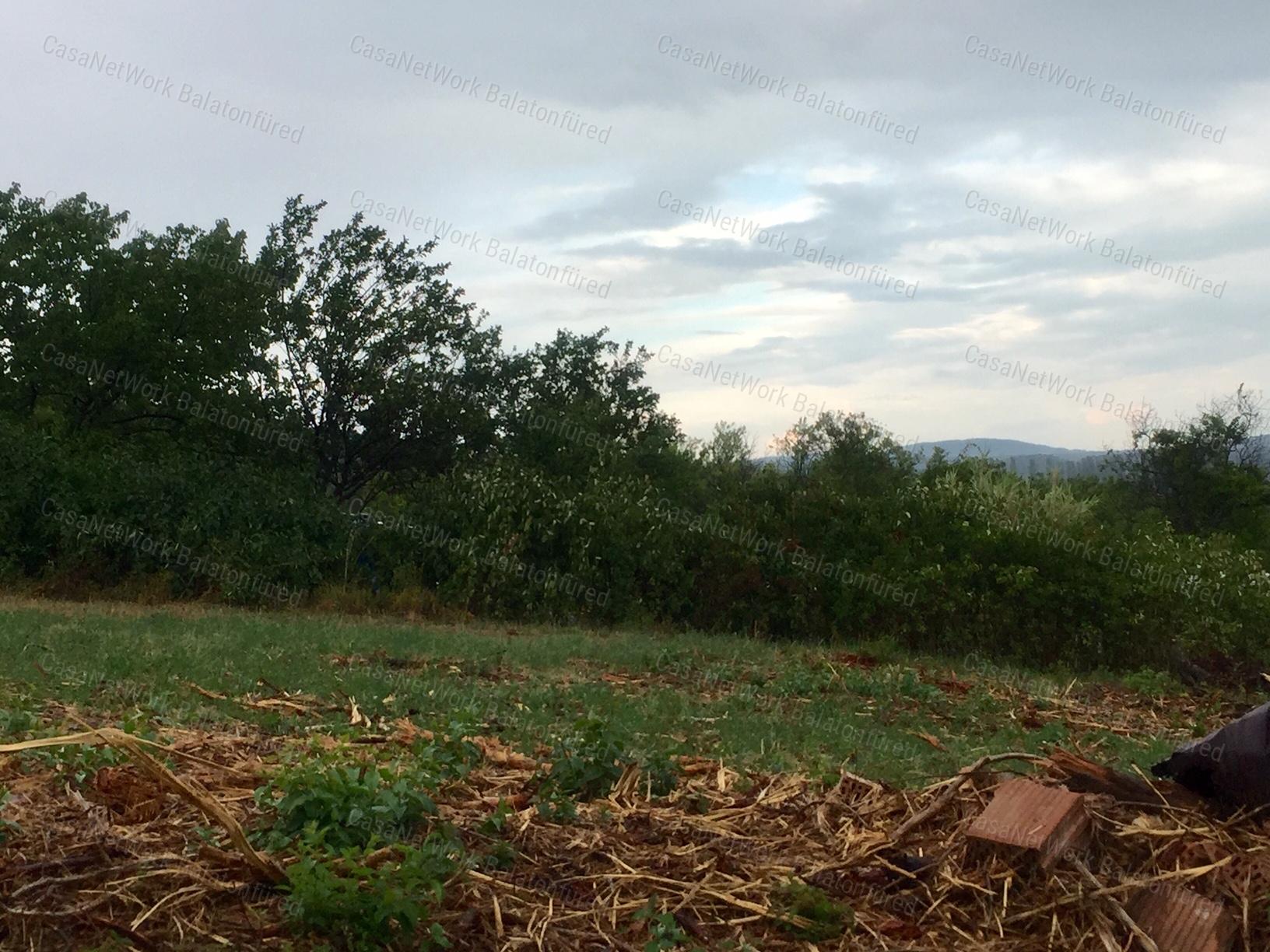 Részpanorámás Pince-présház