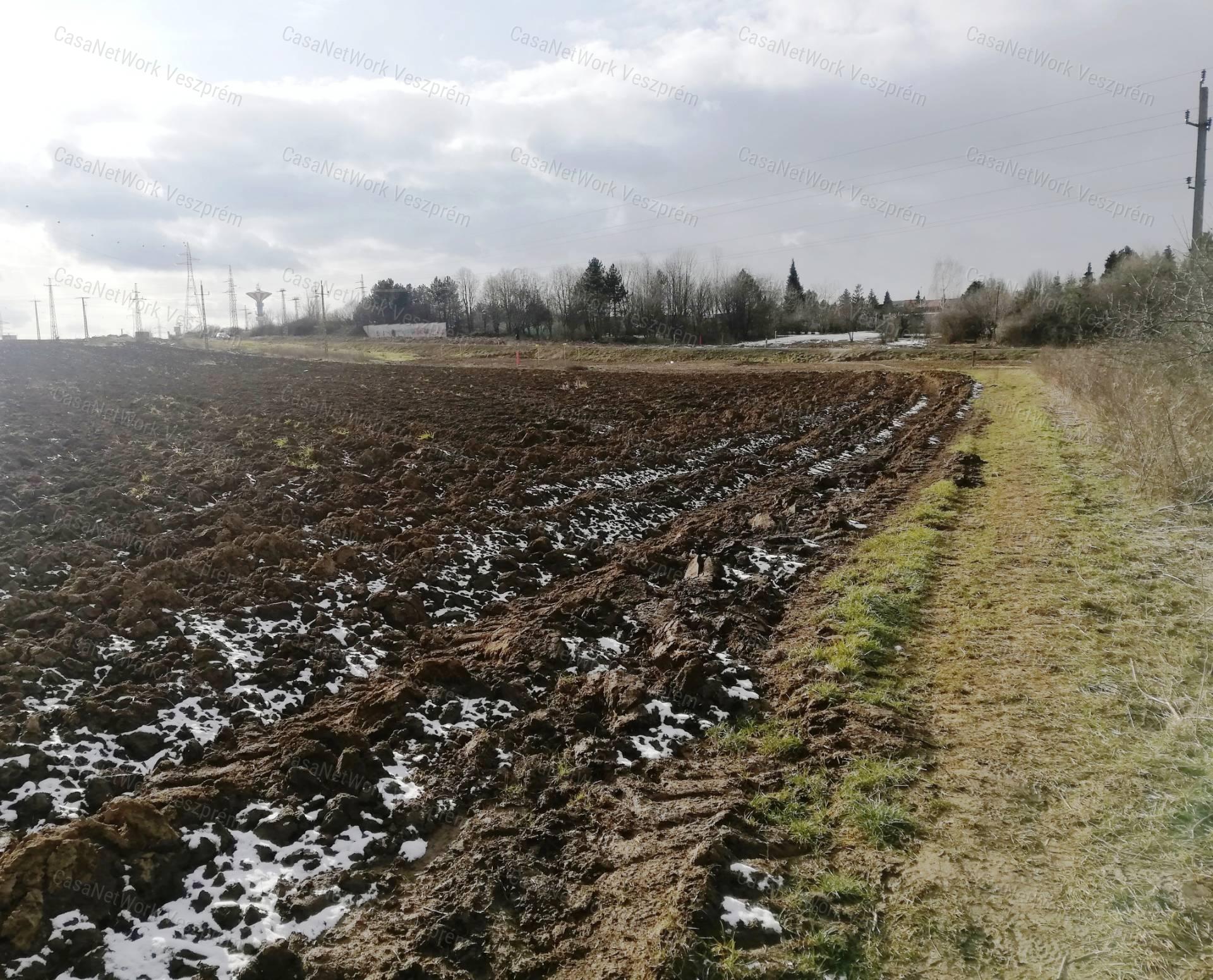 Belterületi szántó eladó, Veszprémben