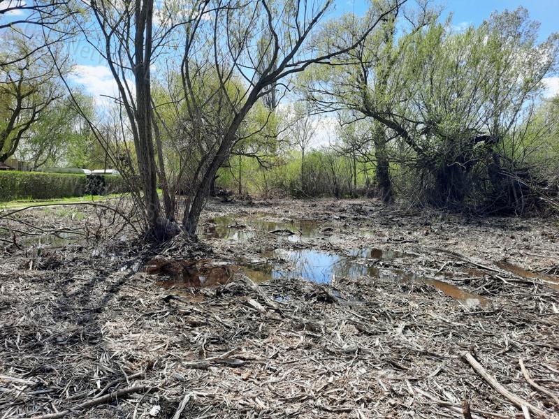 Horgászok figyelem vízközeli telek - eladó TELEK BALATONAKALIBAN