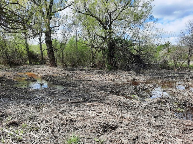 Horgászok figyelem vízközeli telek - eladó TELEK BALATONAKALIBAN