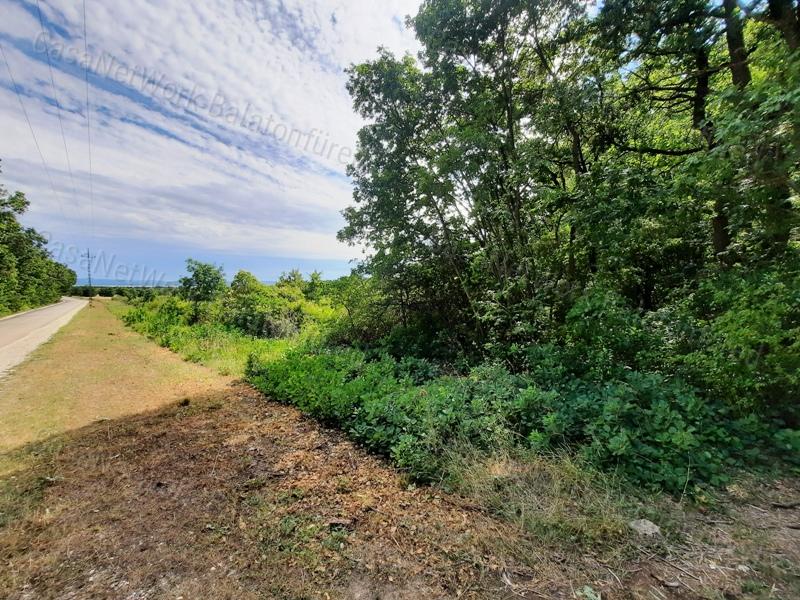 Település közeli - eladó ERDŐ TERÜLET BALATONUDVARIBAN