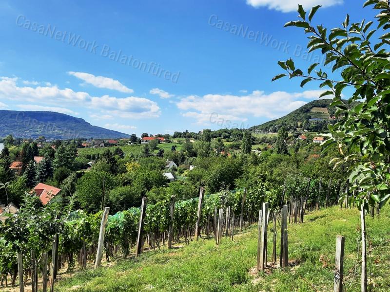 PANORÁMÁS, ÉPÍTHETŐ - eladó LAKÓÖVEZETI TELEK ÁBRAHÁMHEGYEN