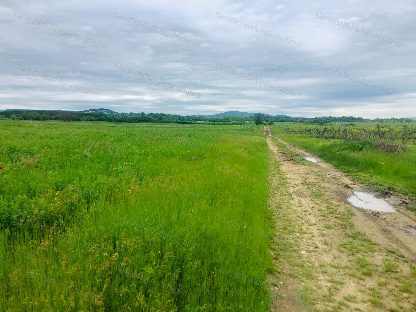 Panorámás Terület Aszófőn