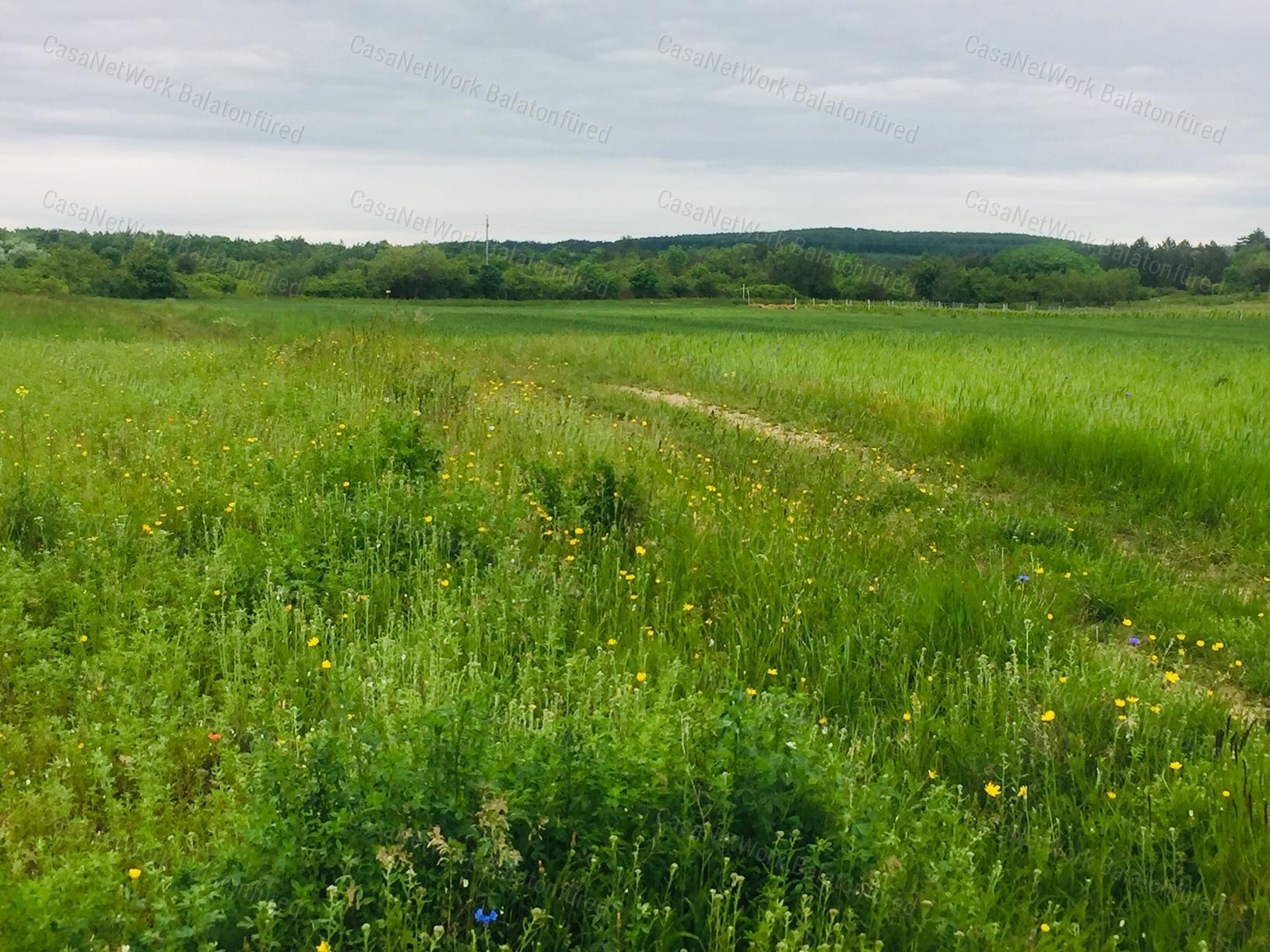 Panorámás Terület Aszófőn
