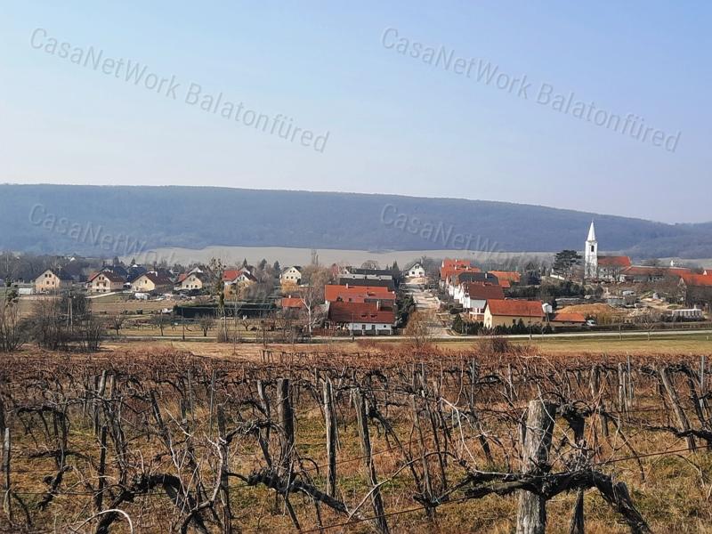 PANORÁMÁS TERÜLET - eladó SZŐLŐ TERÜLET SZENTANTALFÁN