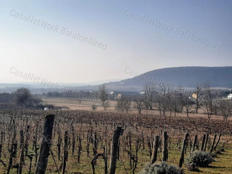 PANORÁMÁS TERÜLET - eladó SZŐLŐ TERÜLET SZENTANTALFÁN