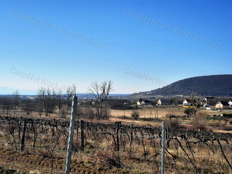 PANORÁMÁS TERÜLET - eladó SZŐLŐ TERÜLET SZENTANTALFÁN