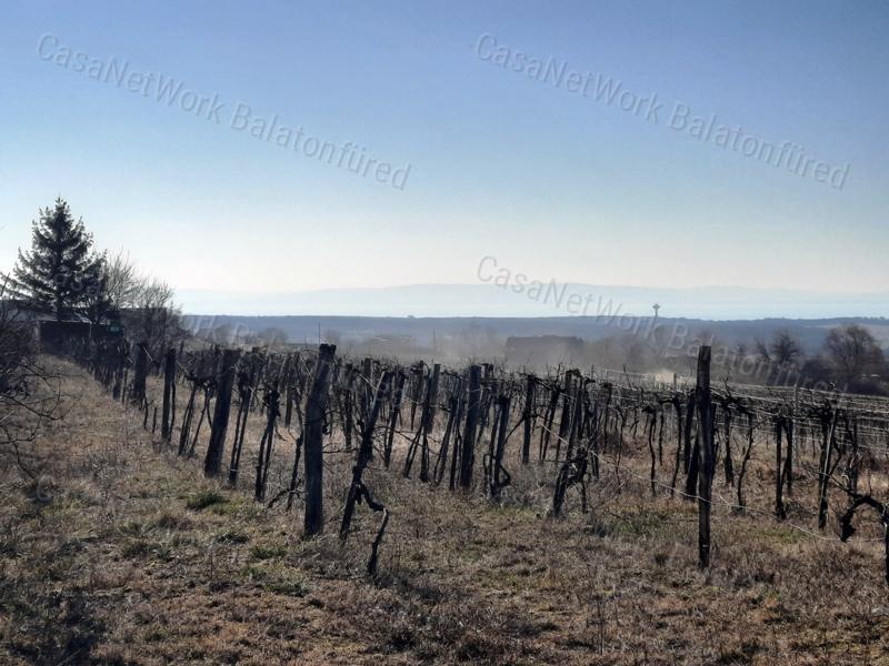 PANORÁMÁS TERÜLET - eladó SZŐLŐ TERÜLET SZENTANTALFÁN