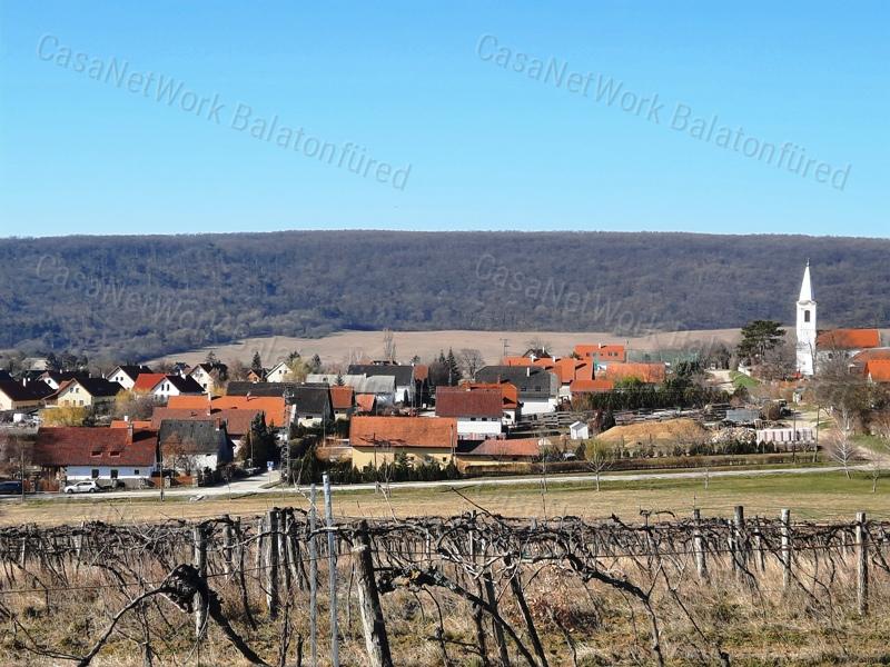 PANORÁMÁS TERÜLET - eladó SZŐLŐ TERÜLET SZENTANTALFÁN