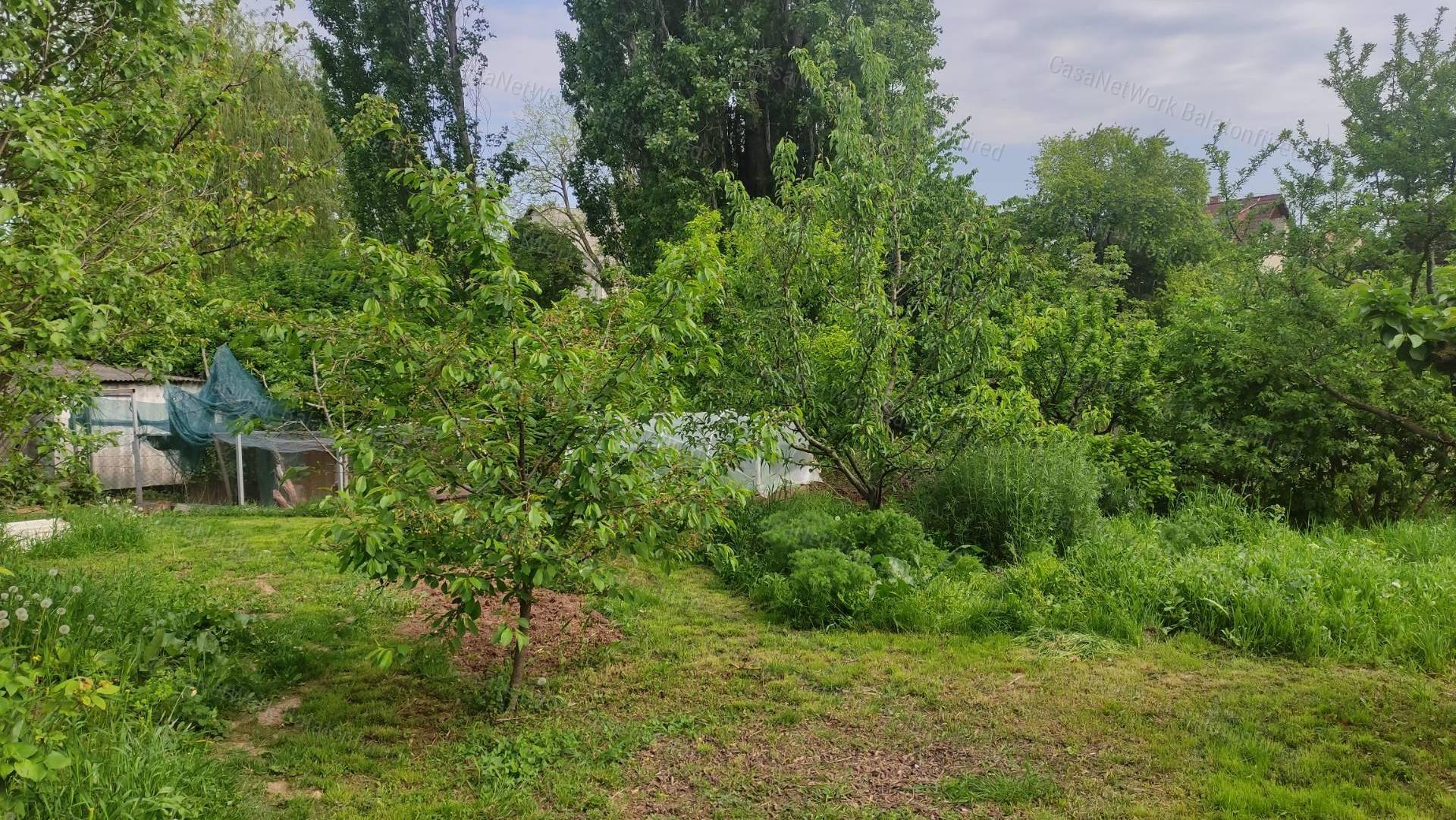 Ház a patak partján