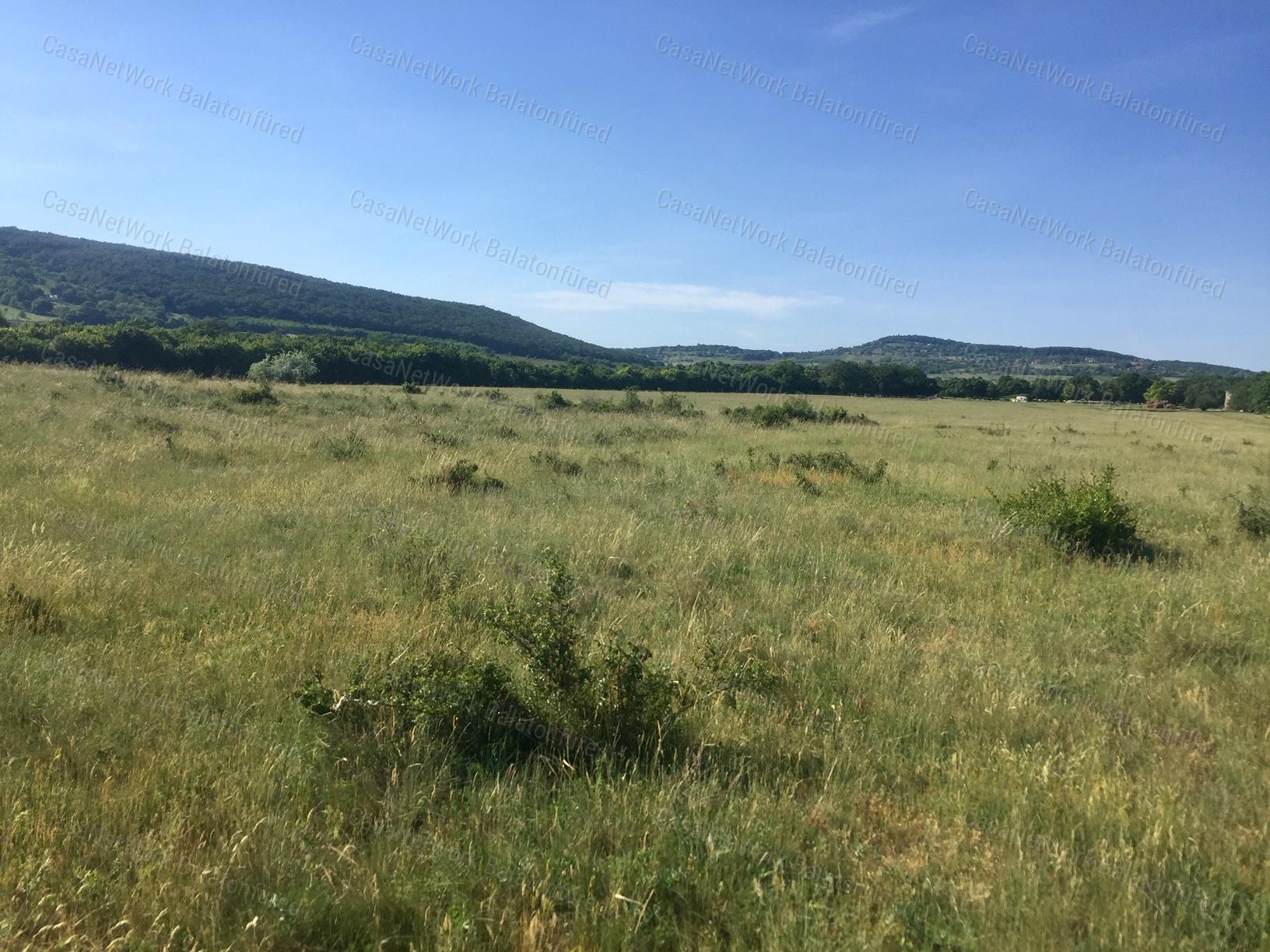 Tó közelsége, a medence klímája mindig is jó lehetőség