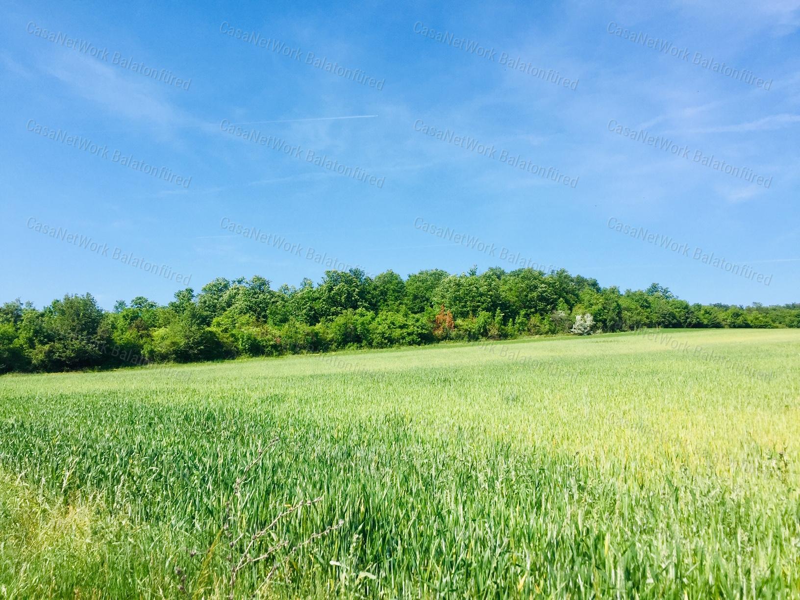 Balaton és az azt körülvevő hegyvonulat szépségében