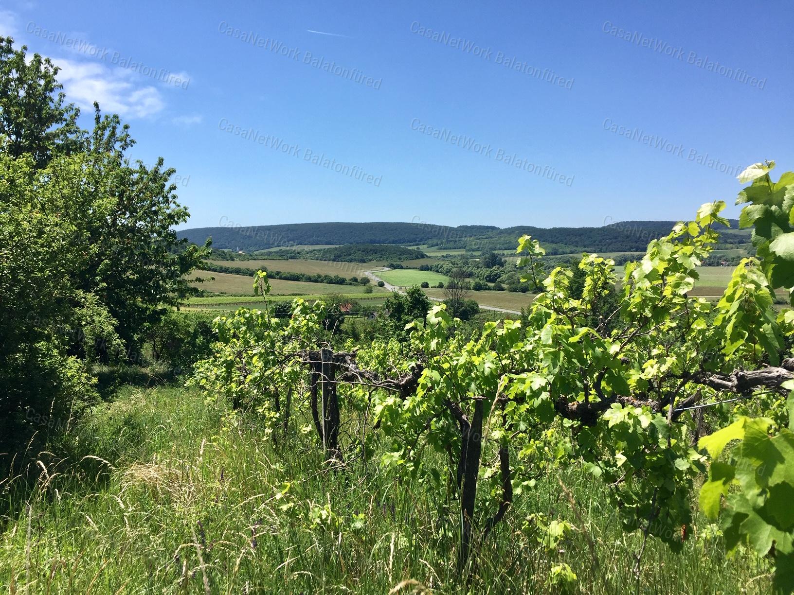 Nivegy - völgy domboldalában