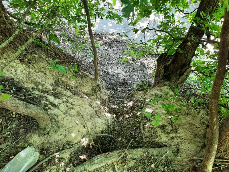 Panorámás terület- eladó GYÜMÖLCSÖS BADACSONYTOMAJBAN