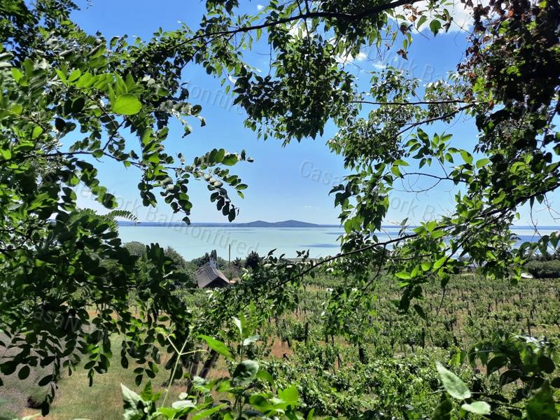 Panorámás terület- eladó GYÜMÖLCSÖS BADACSONYTOMAJBAN