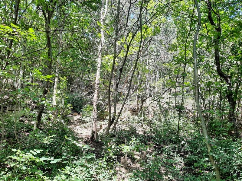 Panorámás terület- eladó GYÜMÖLCSÖS BADACSONYTOMAJBAN