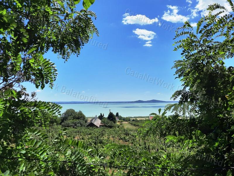 Panorámás terület- eladó GYÜMÖLCSÖS BADACSONYTOMAJBAN