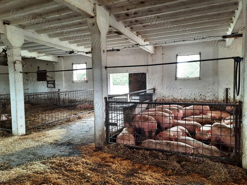 VÁLLALKOZÓK,BEFEKTETŐK - eladó SERTÉSTELEP MENCSHELYEN