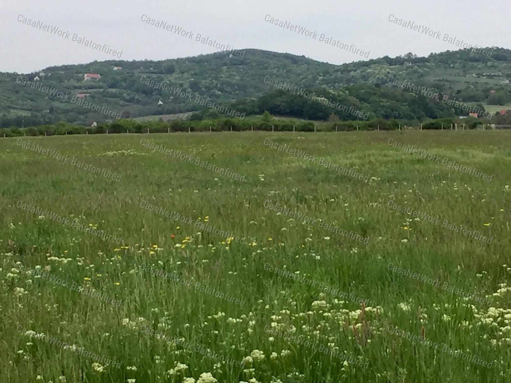 Falu széli mezőgazdasági terület