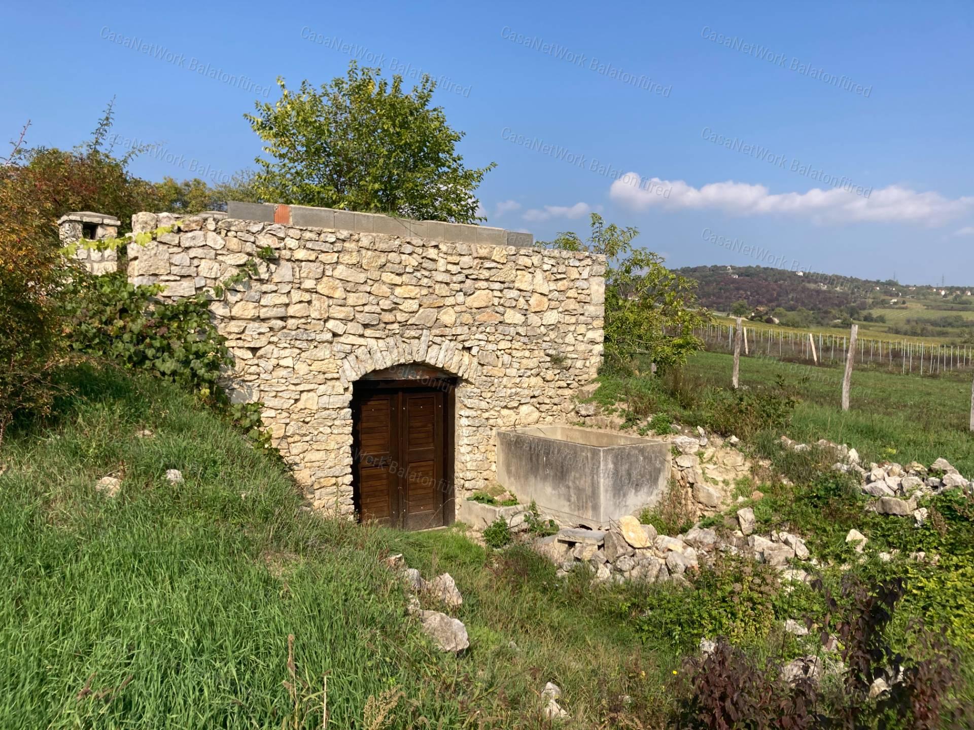 Kivételes lehetőség