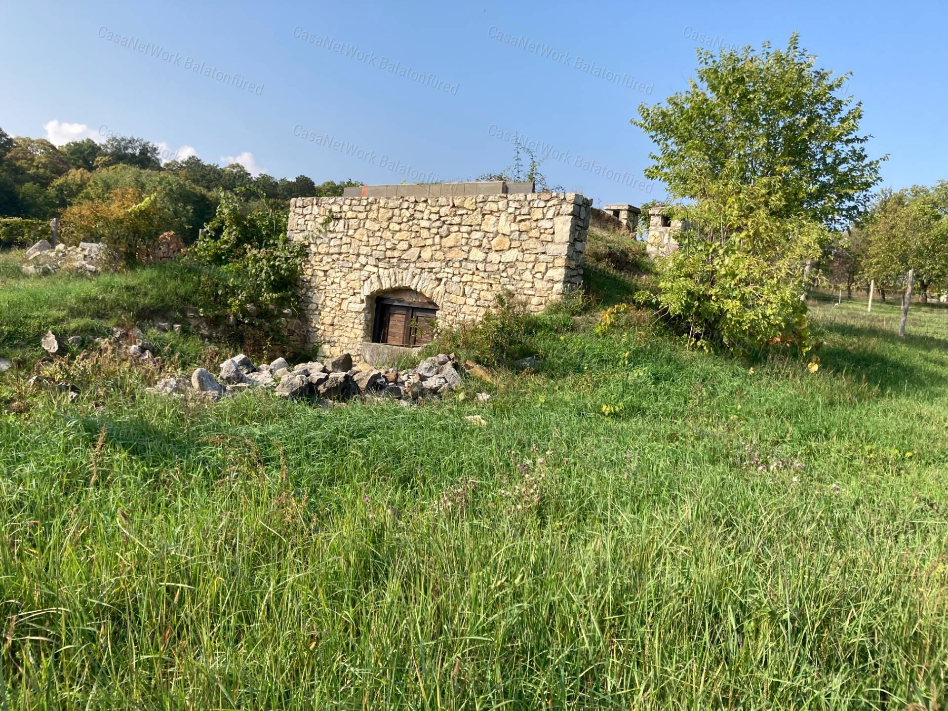 Kivételes lehetőség